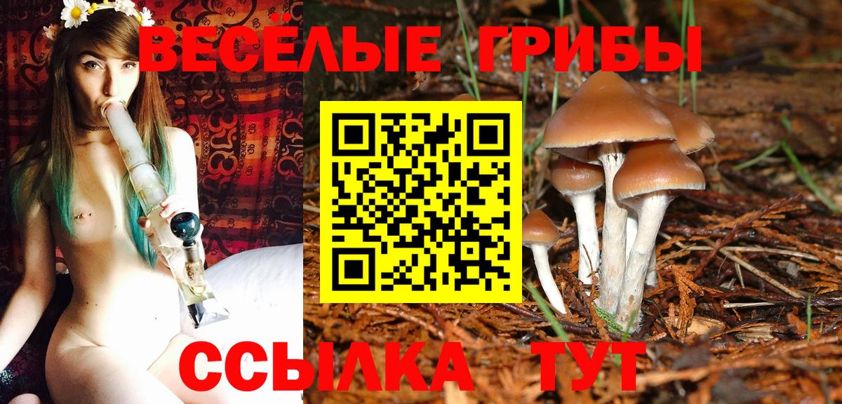 Усть-Илимск  Галлюциногенные грибы мицелий  Вход с VPN 