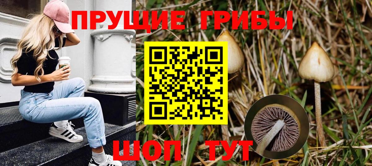 Галлюциногенные грибы прущие грибы Усть-Илимск